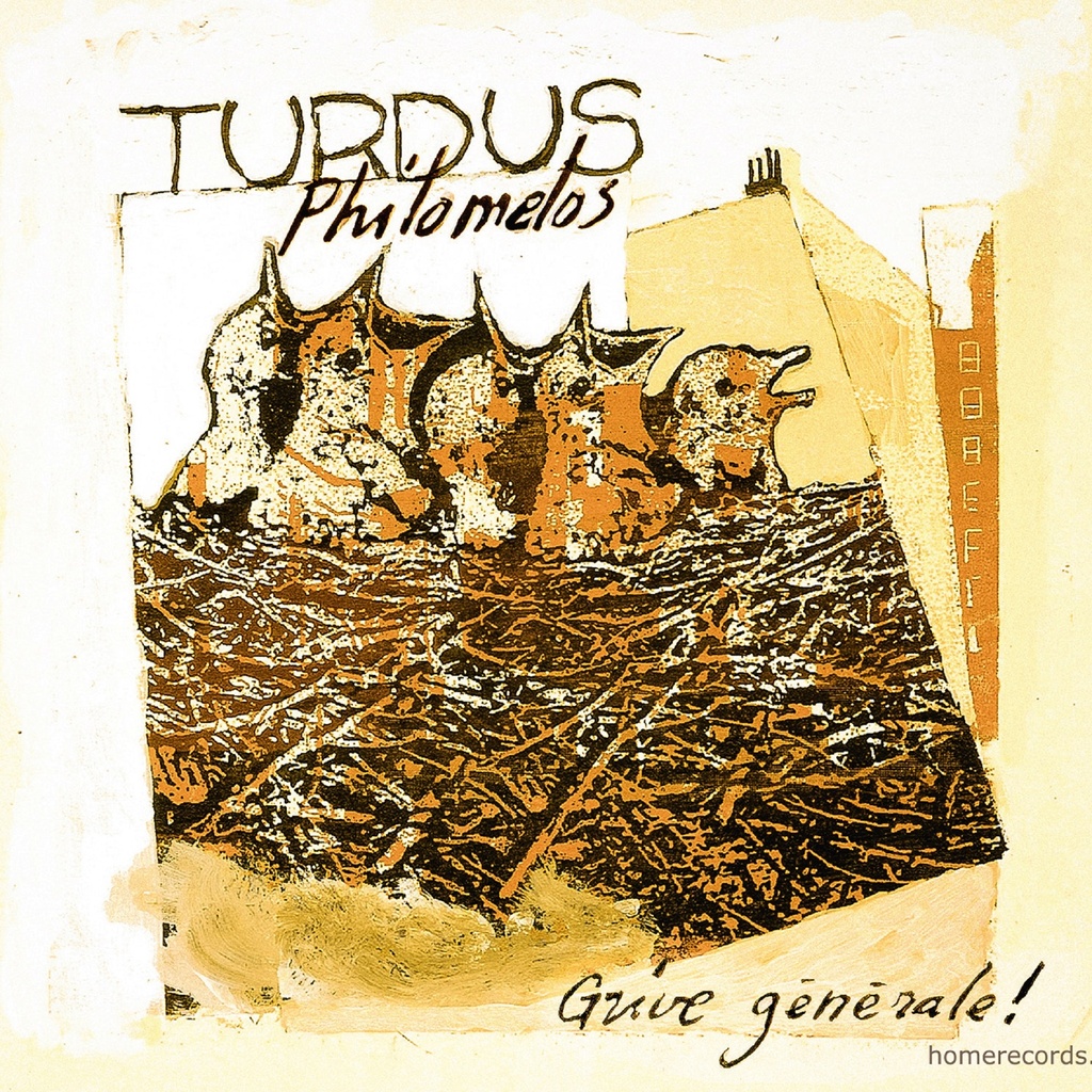 Grive générale! - Turdus Philomelos