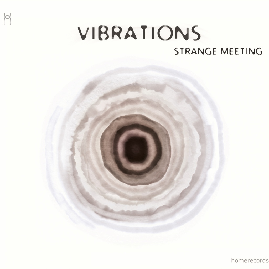 Strange Meeting - Ensemble Vibration